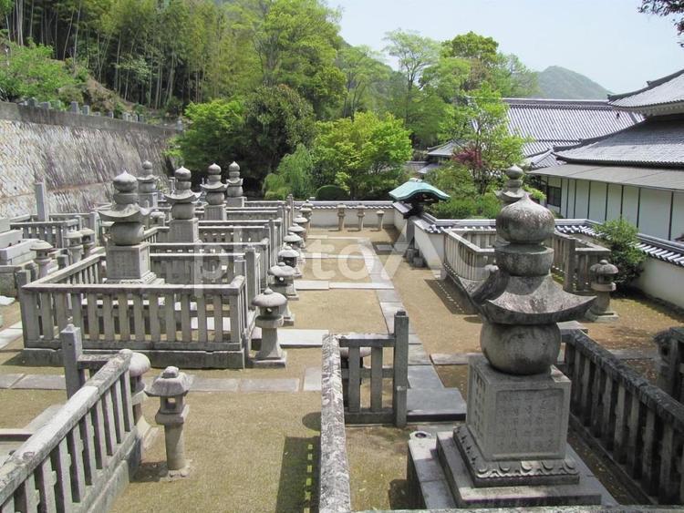 【風景写真】妙正寺(広島県三原市)の風景 妙正寺,日蓮宗,神社仏閣の写真素材