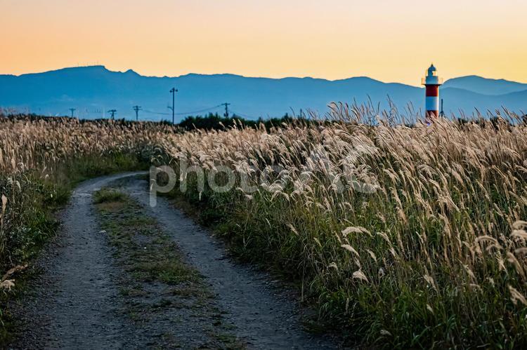 北海道　石狩　はまなすの丘公園の夕暮れ 風景,景色,大地の写真素材