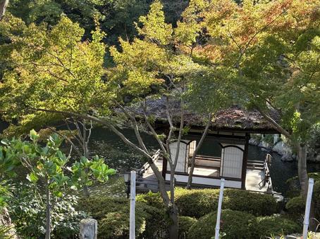 初紅葉 西の丸庭園,紅葉渓庭園,鳶魚閣の写真素材