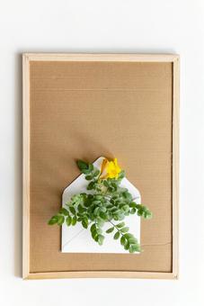 コルクボードに封筒に入った花が乗っている コルクボードに封筒に入った花が乗っている モックアップ,物撮り,コルクボードの写真素材