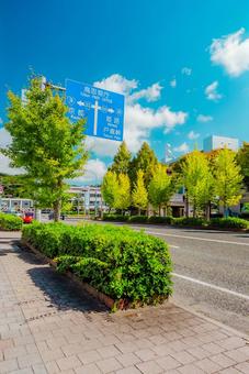 【鳥取】鳥取駅の周辺 鳥取,鳥取駅,駅前の写真素材