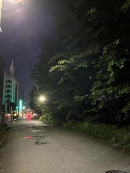 夜の道 夜の道の写真