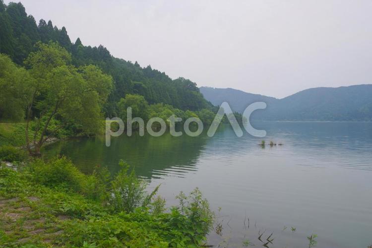 湖畔からの眺め　余呉湖　滋賀県長浜市 自然,風景,景色の写真素材