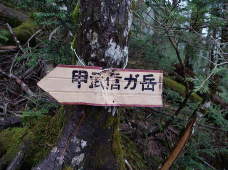 甲武信ヶ岳 徳ちゃん新道 甲武信ヶ岳 徳ちゃん新道 甲武信ヶ岳,西沢渓谷,徳ちゃん新道の写真素材