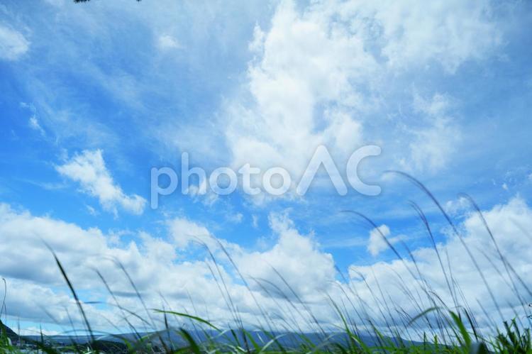 草の揺れる丘と雲の重なる夏空 河口湖,青空,夏の写真素材