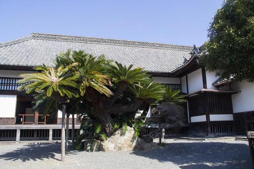 掛川城 二の丸御殿 掛川城,二の丸御殿,二の丸の写真素材