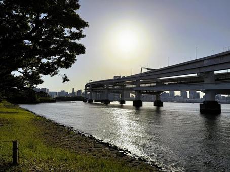 2025年春　昼間の東京お台場の風景 都心,さわやか,りんかい線の写真素材