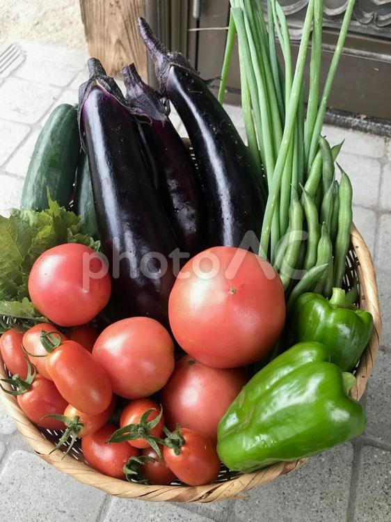 夏野菜のおすそ分け トマト,ナス,ピーマンの写真素材
