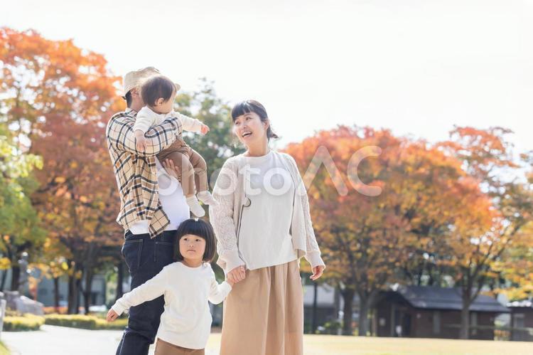 秋の公園で遊ぶ家族・ファミリー 家族,ファミリー,横顔の写真素材