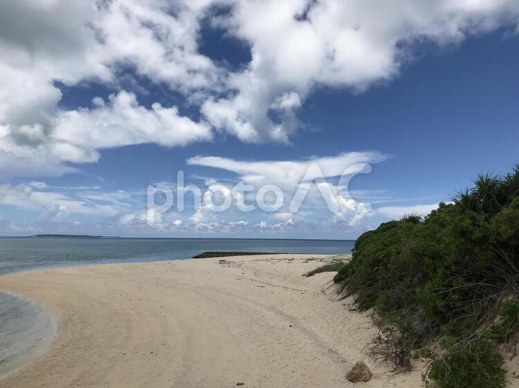 南国沖縄の海とビーチ 沖縄,南国,ビーチの写真素材