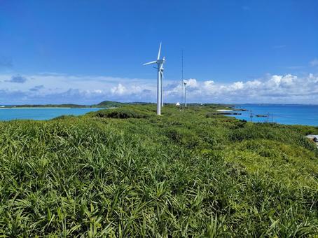 西平安名崎の風車 西平安名崎,風車,風力発電の写真素材