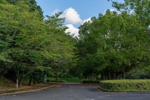 観音池公園の駐車場 観音池公園の駐車場 観音池公園,青空,空の写真素材