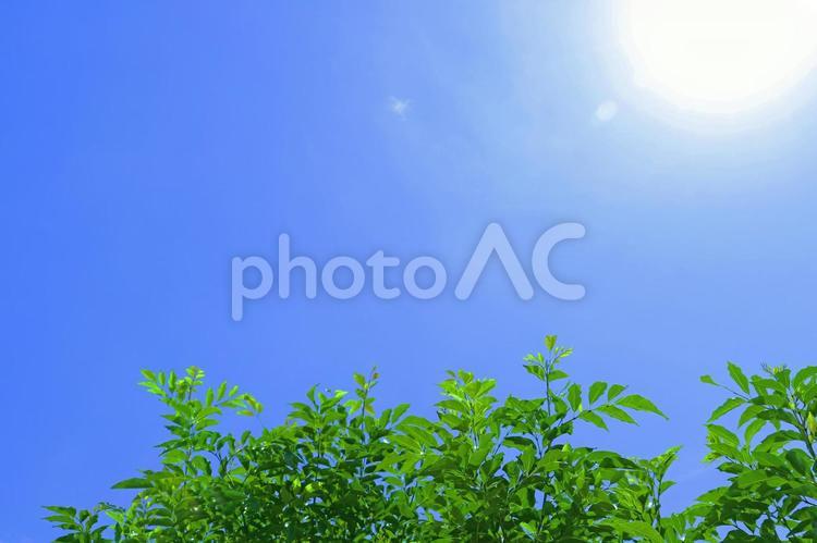 夏空 夏空,空,太陽の写真素材