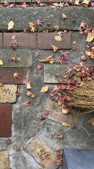 秋の庭の風景　レンガの庭に紅葉と箒 レンガ,秋の庭,歩道の写真素材