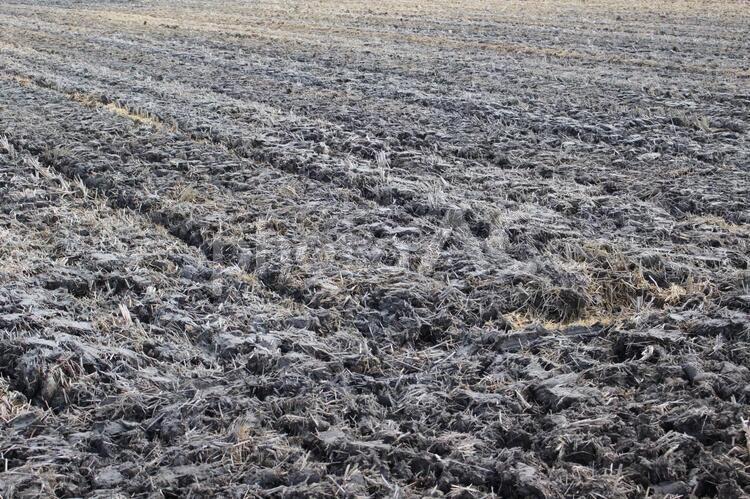 整地済み1【農地】 整地,田んぼ,畑の写真素材