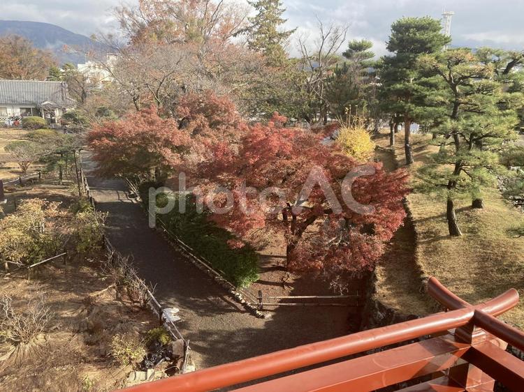 長野県　松本城からの眺め 松本城,松本市,長野県の写真素材