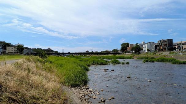 金沢を流れる犀川の河川敷 犀川,金沢,緑地の写真素材