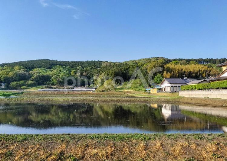 茨城県石岡市山崎の春の水田風景 水田,田圃,田んぼの写真素材