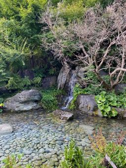 富山城址公園 富山城址公園 富山城址公園,庭園,池の写真素材