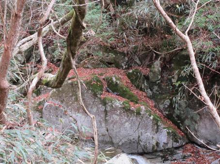 秋の渓谷 秋の渓谷 自然,風景,鹿又川渓谷の写真素材