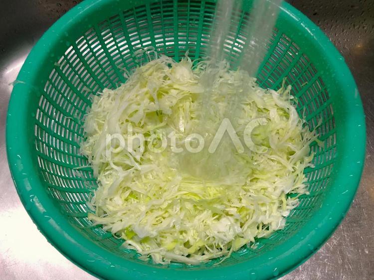 千切りにした山盛りキャベツを水洗い キャベツ,千切り,洗うの写真素材
