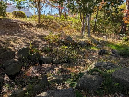 秋の公園 風景,景色,自然の写真素材