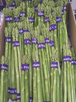 八百屋さんのグリーンアスパラ 八百屋さんのグリーンアスパラ アスパラ,グリーン,野菜の写真素材