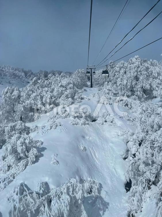 白銀の世界を進むリフト 雪,リフト,樹氷の写真素材