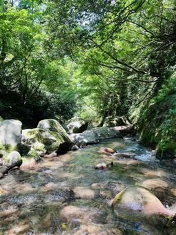 川 新潟 涼しい 川 新潟 涼しいの写真