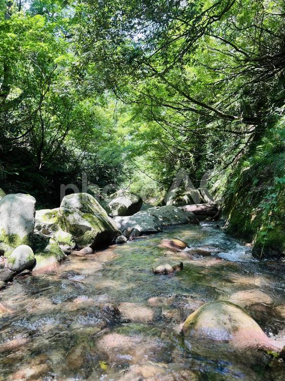 川　新潟　涼しい 新潟避暑地,新潟,避暑地の写真素材