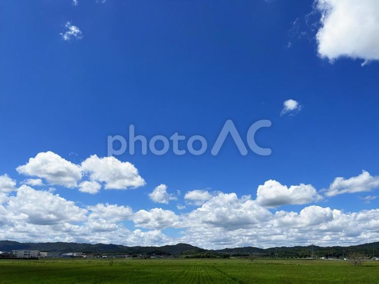 青空　空　田園風景　素材 田んぼ,青空,田園風景の写真素材