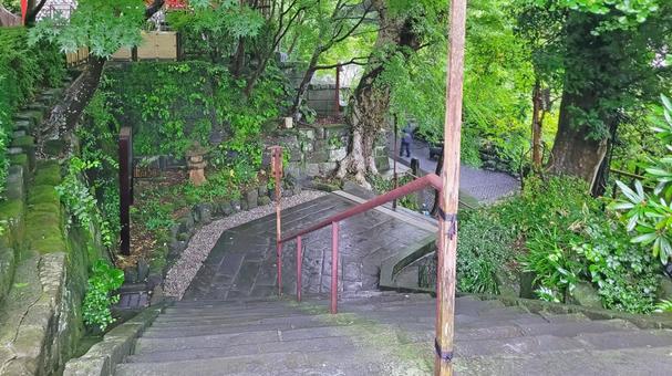 坂東33観音 04番 長谷寺 参道の石段 坂東33観音 04番 長谷寺 参道の石段 長谷寺,海光山,慈照院の写真素材