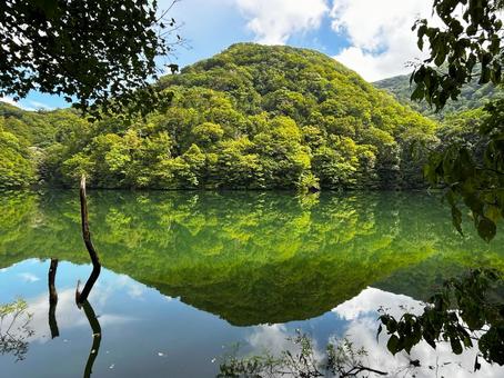 湖と森 湖と森 湖,反射,森の写真素材