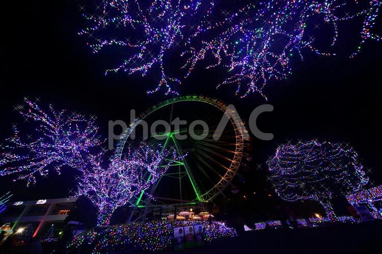 浮き上がる色 イルミネーション,ランド,夜の写真素材