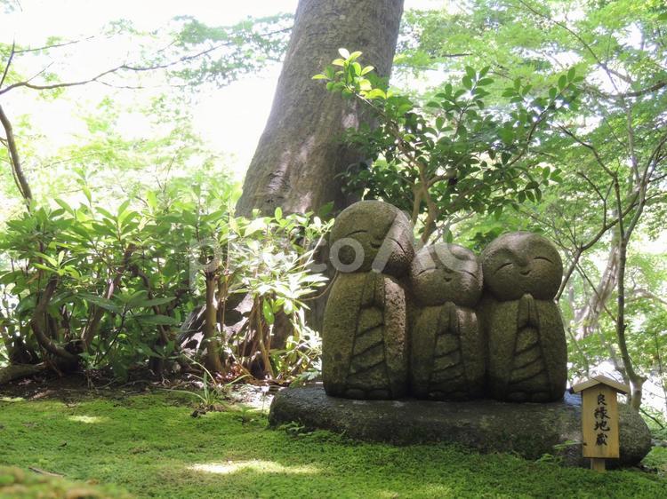 鎌倉長谷寺の良縁地蔵 長谷寺,鎌倉,良縁祈願の写真素材