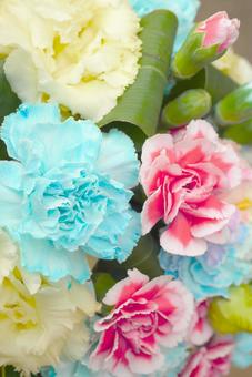 可愛らしいカーネーション（縦） カーネーション,花束,カラフルの写真素材