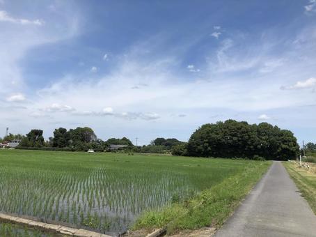 田舎道 田舎道 空,sky,自然の写真素材