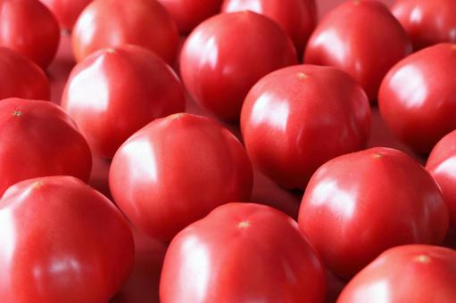 Lots of fresh tomatoes, JPG Lots of fresh tomatoes, tomato, tomato food, simple, JPG