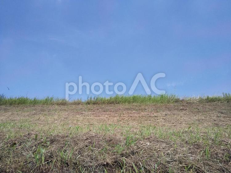 草刈り直後の河原 草,野原,青の写真素材