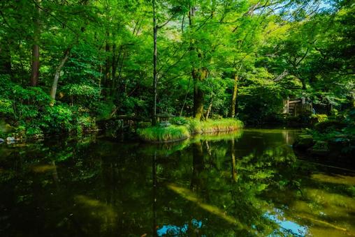 【岐阜】岐阜公園 2025 【岐阜】岐阜公園 2025の写真