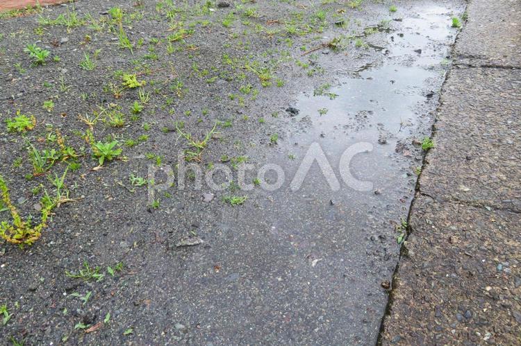雨上がりの砂利道２ 雨上がり,水たまり,梅雨の写真素材