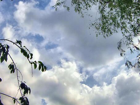 六月の雲-47 六月,青空,空の写真素材