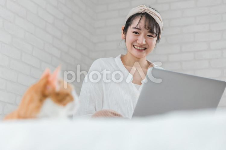 家で猫と一緒にリモートワークする女性 猫,パソコン,女性の写真素材