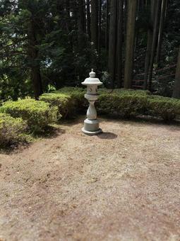 お盆のお墓掃除 お盆のお墓掃除 草取り,お墓掃除,お盆の写真素材