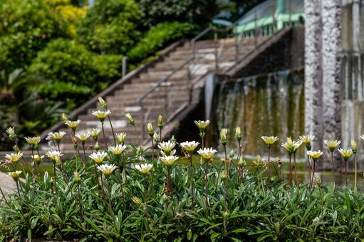 ［長崎県長崎市］グラバー園 長崎市,南山手,グラバー園の写真素材