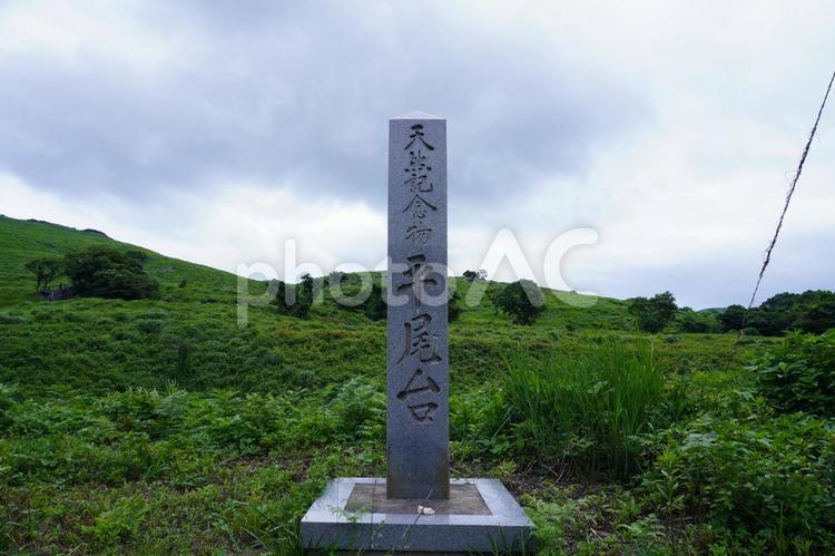 平尾台 自然,平尾台,風景の写真素材