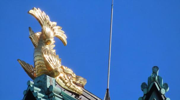 名古屋城　太陽光を受けて燦然と輝く金鯱 名古屋城,尾張徳川家,御三家の写真素材