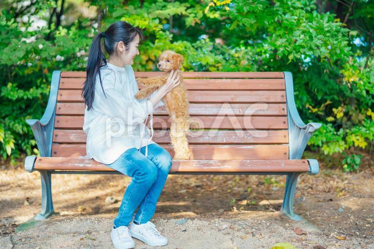 公園で犬と遊ぶ女性（話す・全身） 犬,ペット,散歩の写真素材