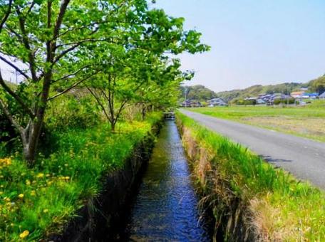 湖西の風景の写真
