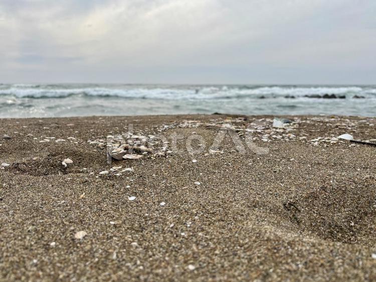 曇りの海と砂浜 海,浜辺,砂浜の写真素材